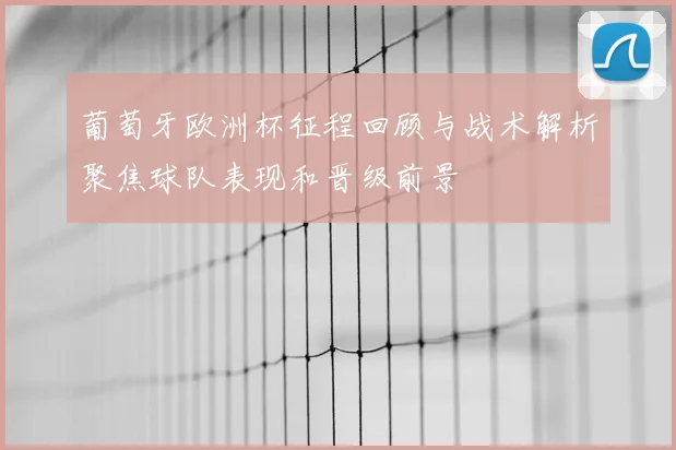 葡萄牙欧洲杯征程回顾与战术解析聚焦球队表现和晋级前景