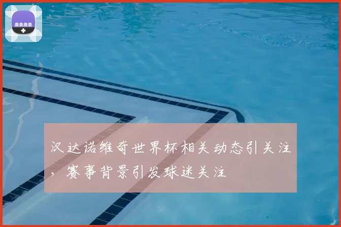 汉达诺维奇世界杯相关动态引关注,赛事背景引发球迷关注