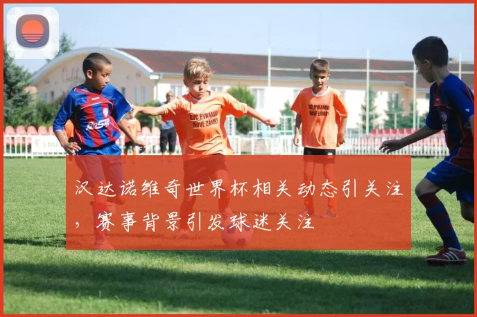 汉达诺维奇世界杯相关动态引关注，赛事背景引发球迷关注