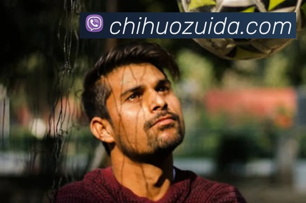 奇异果网页版服务体系